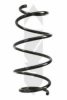 SPIDAN 86840 Coil Spring